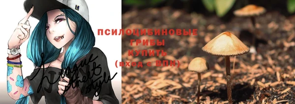 метадон Арсеньев