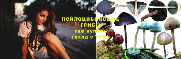 метадон Арсеньев