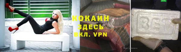 шишки Армянск