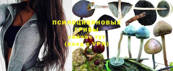 метадон Арсеньев