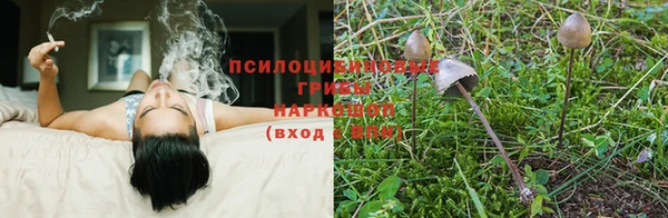 шишки Армянск