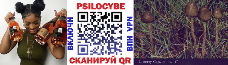 Галлюциногенные грибы мухоморы Купить Новомичуринск