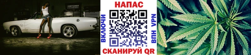 Купить  Новомичуринск  Канабис семена 